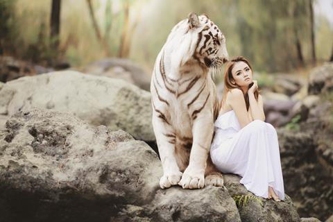 Two White Tigers jigsaw puzzle